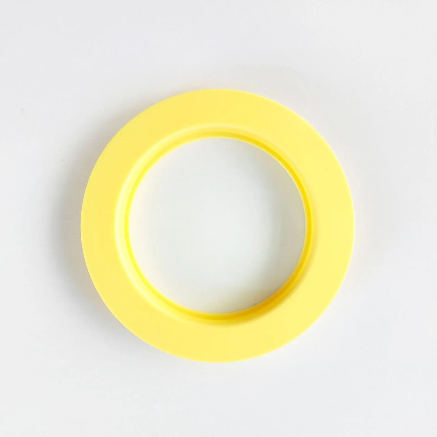 Cactus Clean™ Drain Filter System™